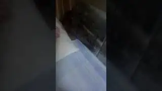 31 октября 2021 г.