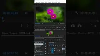 Leave Color Effect in Adobe Premiere Pro 