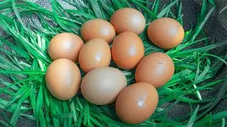 Boiled eggs with beef tendon grass, after watching the video long knowledge [Sweet Food Kitchen]