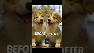 How to Clone Ear of Dog in photoshop |clone source| #photoshop #utubeshorts #shorts #clone tool