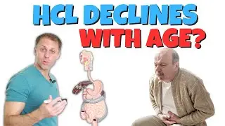 Does Stomach Acid Production Decline with Age