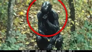 Heart-Pounding Forest Incidents Caught On Camera