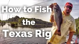 How to Fish the Texas Rig (Tips and Tricks)