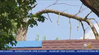 Neighbors Tree Damages Her Roof; Neighbor And His Insurance Wont Pay For Damages