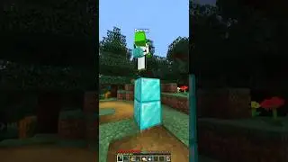 Minecraft meme