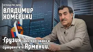 Владимир Хомерики: Грузия заинтересована в суверенитете Армении