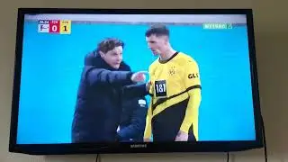 2950 IPTV бесплатно 1
