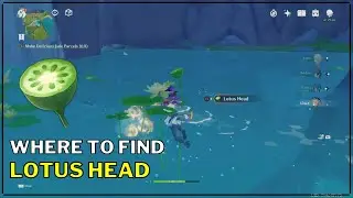 Genshin Impact Lotus Head Location [How to find lotus head]