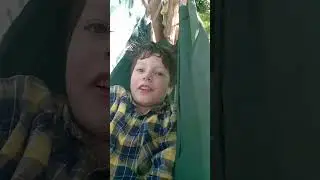 Повесели Гамак