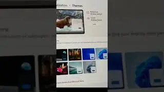 how to install themes in windows 11  #short