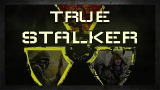 РЕЛИЗ | True Stalker |  Стрим 1