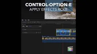 Final Cut Pro Shortcut | Control-Option-E | Apply Effects Role