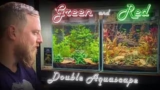 Splitting an aquascape! How I created TWO colour coordinated aquariums!