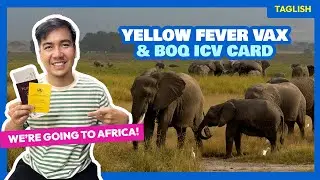 How to Get a Yellow Fever & Polio Vaccination Certificate from BOQ (ICV Card) • The Poor Traveler