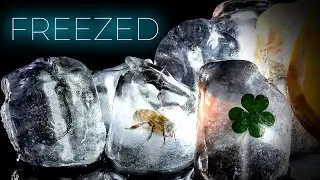 How they freezed in ice - Full tutorial in Photoshop