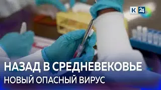 Оспа обезьян: в России случаев заболевания не зафиксировано