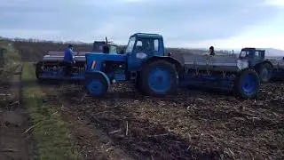 Три мтз-80 сеют пшеницу /Moldova