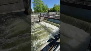 Sticky video. Flowing water! Germany. Berlin