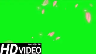 FREE HD GREEN SCREEN || GLITTERS || FREE TO USE