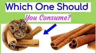 Main Difference between Ceylon and Cassia Cinnamon