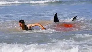 When Surfers Mess With The Wrong Shark