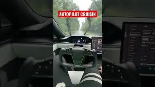 TESLA MODEL S PLAID AUTOPILOT CRUISIN ✅ RAIN OR SHINE 🥵