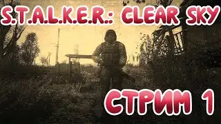 ✅ В погоне за стрелком (1 стрим) // S.T.A.L.K.E.R.: Clear Sky