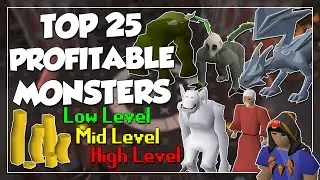 Top 25 Profitable Monsters In OSRS - Low, Mid, Late, & End Game Combat Money Making! (2022)