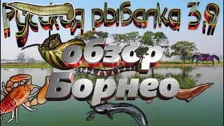 Русская рыбалка 3.99  🎣Обзор Борнео 🐟