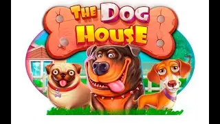 МОЯ СОБАКА НАГАВКАЛА НАМ БОНУСКУ В DOG HOUSE!|ЗАНОСЫ НЕДЕЛИ