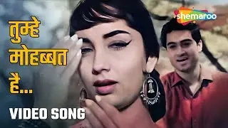 तुम्हे मोहब्बत है | Tumhe Mohabbat Hai - HD Video Songs | Ek Musafir Ek Hasina (1962) Sadhana Joy M