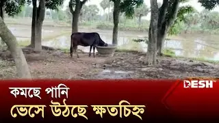 ফেনীতে উন্নতি হয়েছে বন্যা পরিস্থিতির | Feni Flood | News | Desh TV