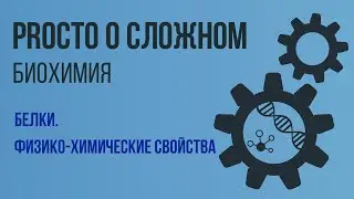 PROСТО О СЛОЖНОМ Физико-химические свойства белков, биохимия №6