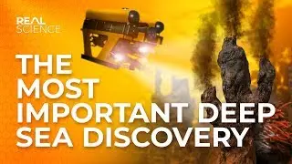 The Most Important Deep Sea Discovery