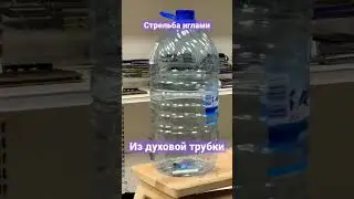 Стрельба из духовой трубки 🎯