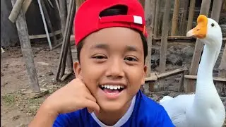 kumpulan video fais dan risa