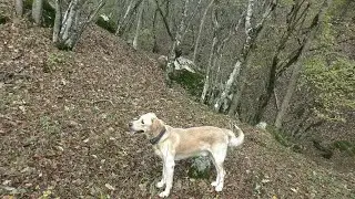 Не смотря на коррективы погоды, поиск продолжается.