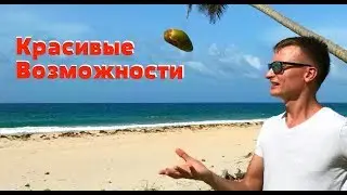 Возможности Сетевого бизнеса | Предложение по Бизнесу