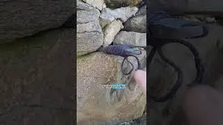 Climbing with Kunai. Ninjutsu uses a variety of weapons in numerous ways. Making everything a tool.