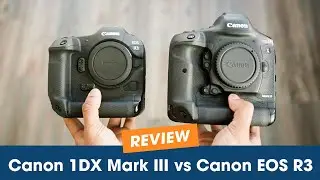 Canon R3 vs Canon 1DX Mark III | Battle of the Full Frame Flagship Camera