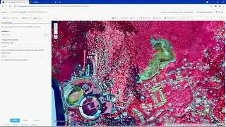 ArcGIS Image for ArcGIS Online