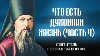 Что есть духовная жизнь и как на нее настроиться (Ч4) — свт. Феофан Затворник