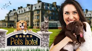 Ich teste Pets Hotel Simulator