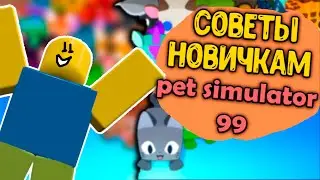 СОВЕТЫ НОВИЧКАМ в Pet Simulator 99 / Roblox роблокс