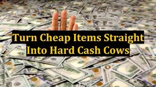 Turn Cheap Items Straight Into Hard Cash Cows