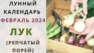 ЛУК: Лунный Календарь ФЕВРАЛЬ 2023! Когда сеять семена на рассаду  лук репчатый и порей?