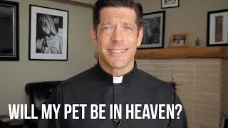 Will My Pet Be in Heaven?