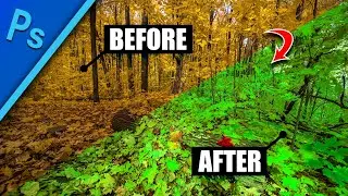 "Photoshop Tutorial" - Change the Color of Anything in Photoshop