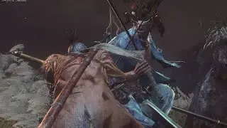 Inner Isshin (DB/No HUD)