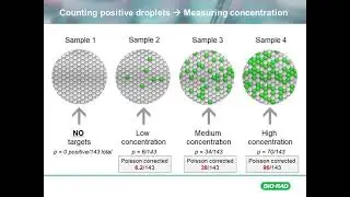 Foundational: Counting in ddPCR